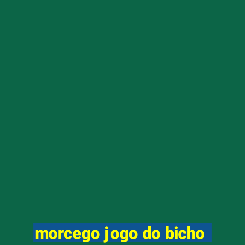 morcego jogo do bicho